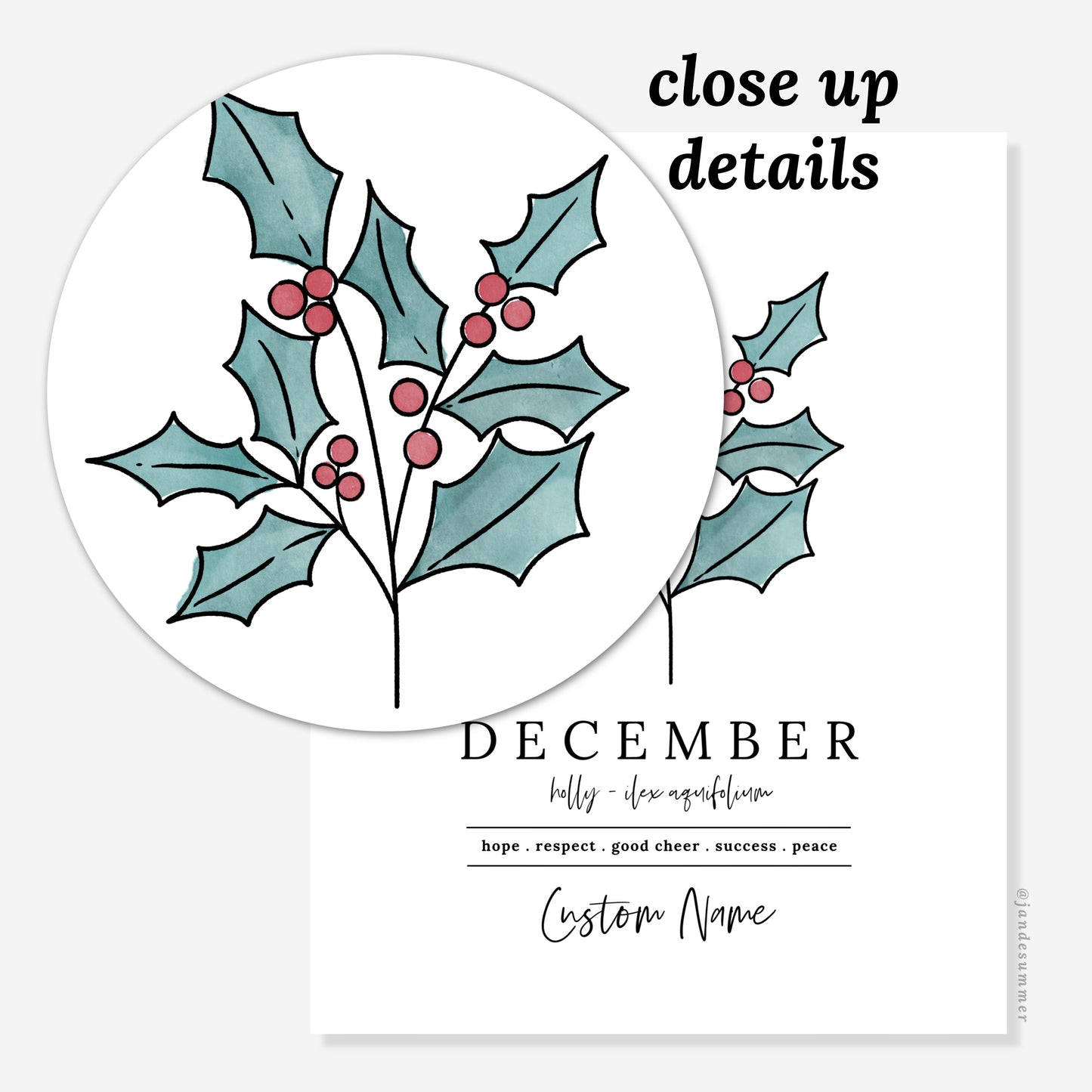 December Holly Birth Flower Art Print | Personalized Unframed Birthday Gift | Floral Illustration