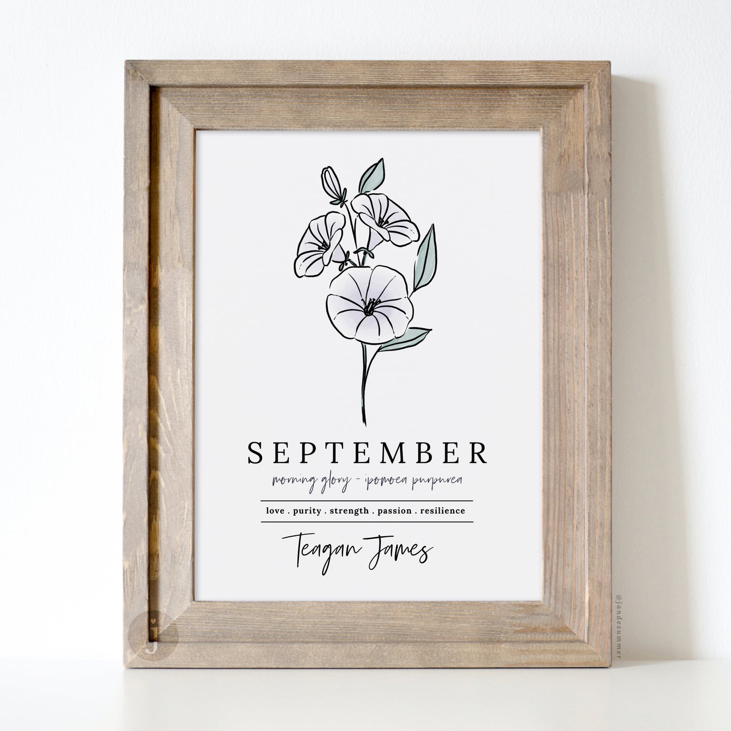 September Morning Glory Birth Flower Art Print | Personalized Unframed Birthday Floral Illustration