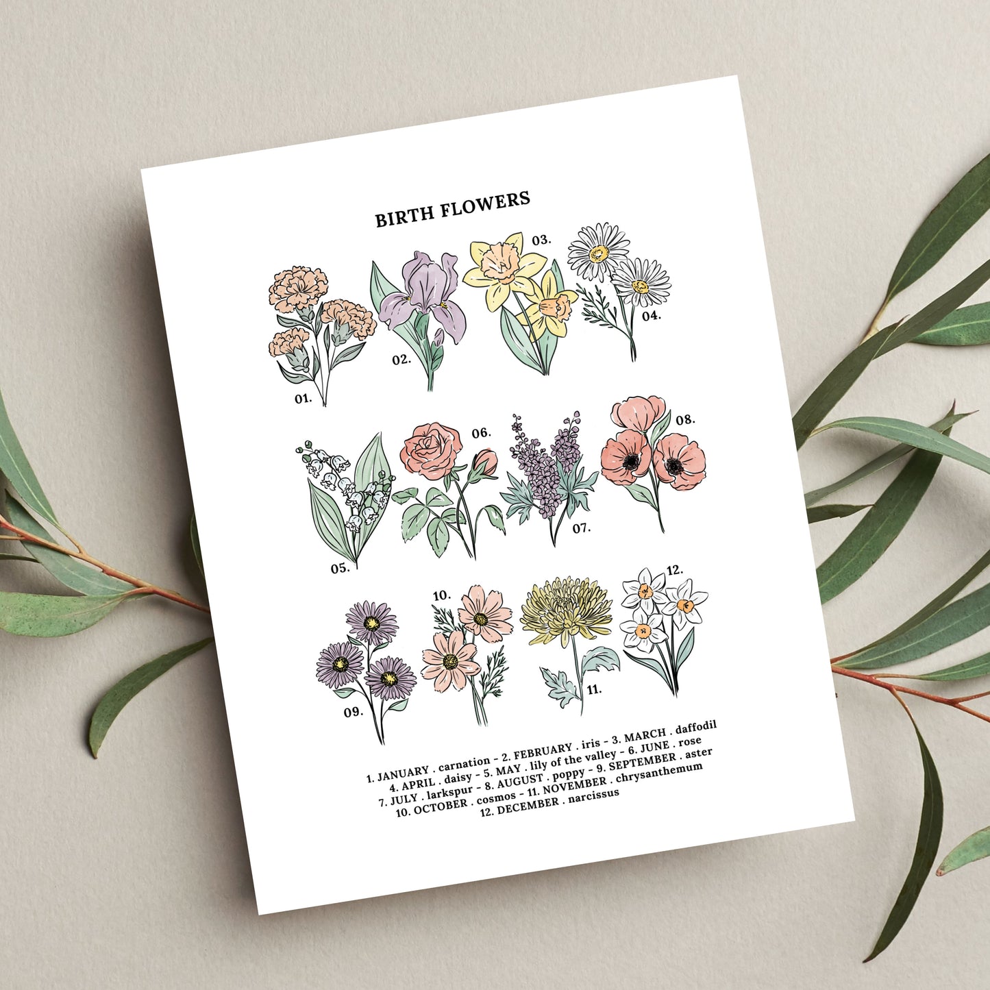 Birth Flower Chart Unframed Art Print | Illustrated Sketched Birthday Month Floral Unframed Art Wall Décor