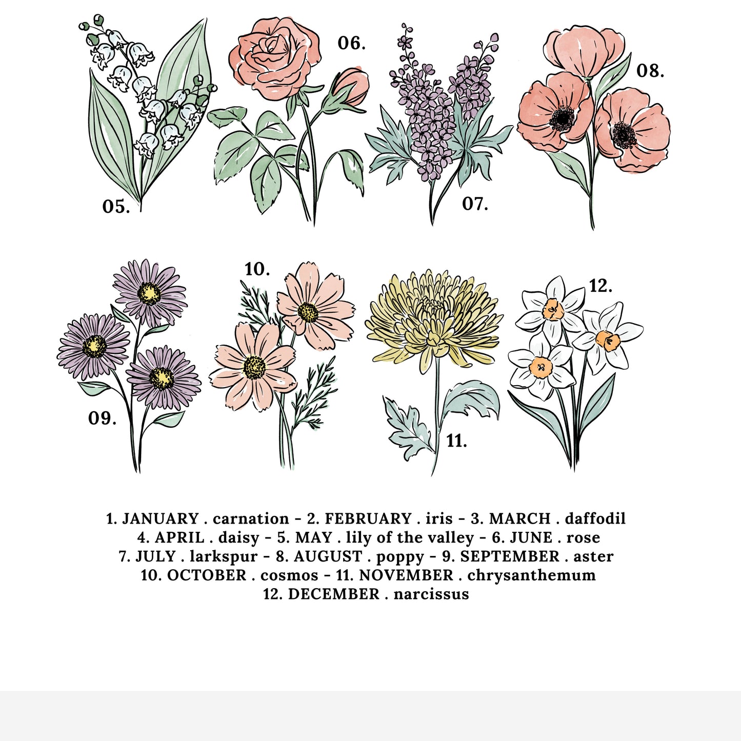 Birth Flower Chart Unframed Art Print | Illustrated Sketched Birthday Month Floral Unframed Art Wall Décor