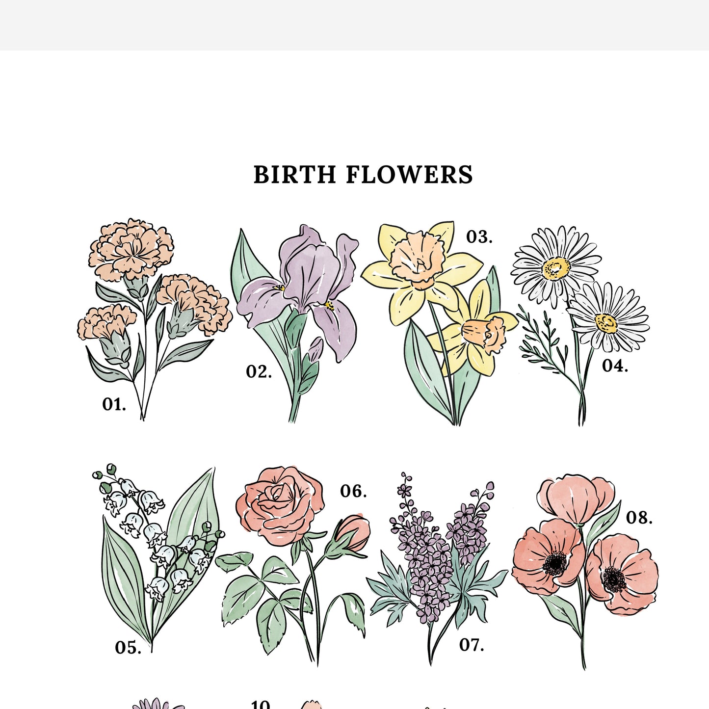 Birth Flower Chart Unframed Art Print | Illustrated Sketched Birthday Month Floral Unframed Art Wall Décor