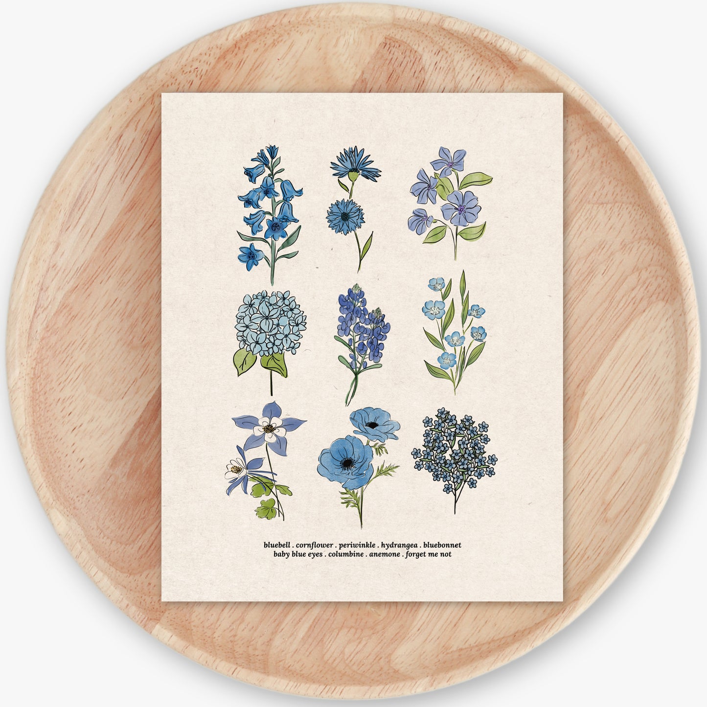 Blue Flower Chart Unframed Art Print | Antique Paper Background | Bluebell Bluebonnet Garden Inspired Art