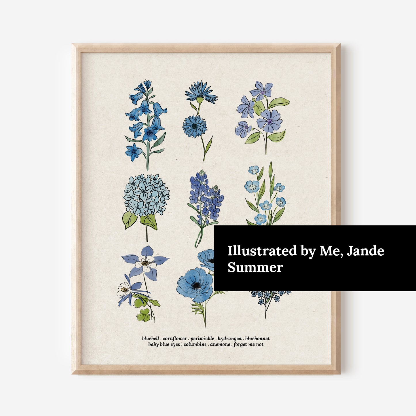 Blue Flower Chart Unframed Art Print | Antique Paper Background | Bluebell Bluebonnet Garden Inspired Art