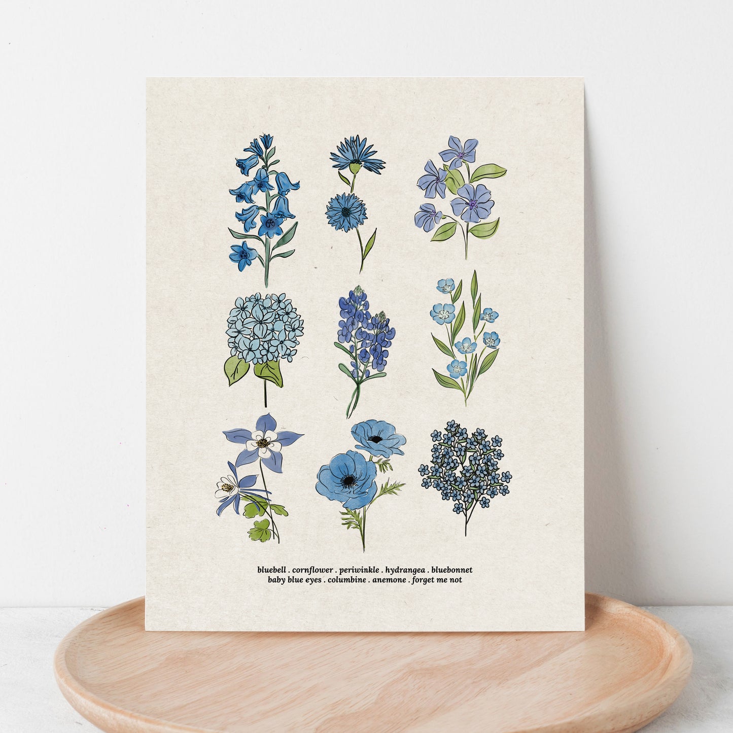 Blue Flower Chart Unframed Art Print | Antique Paper Background | Bluebell Bluebonnet Garden Inspired Art