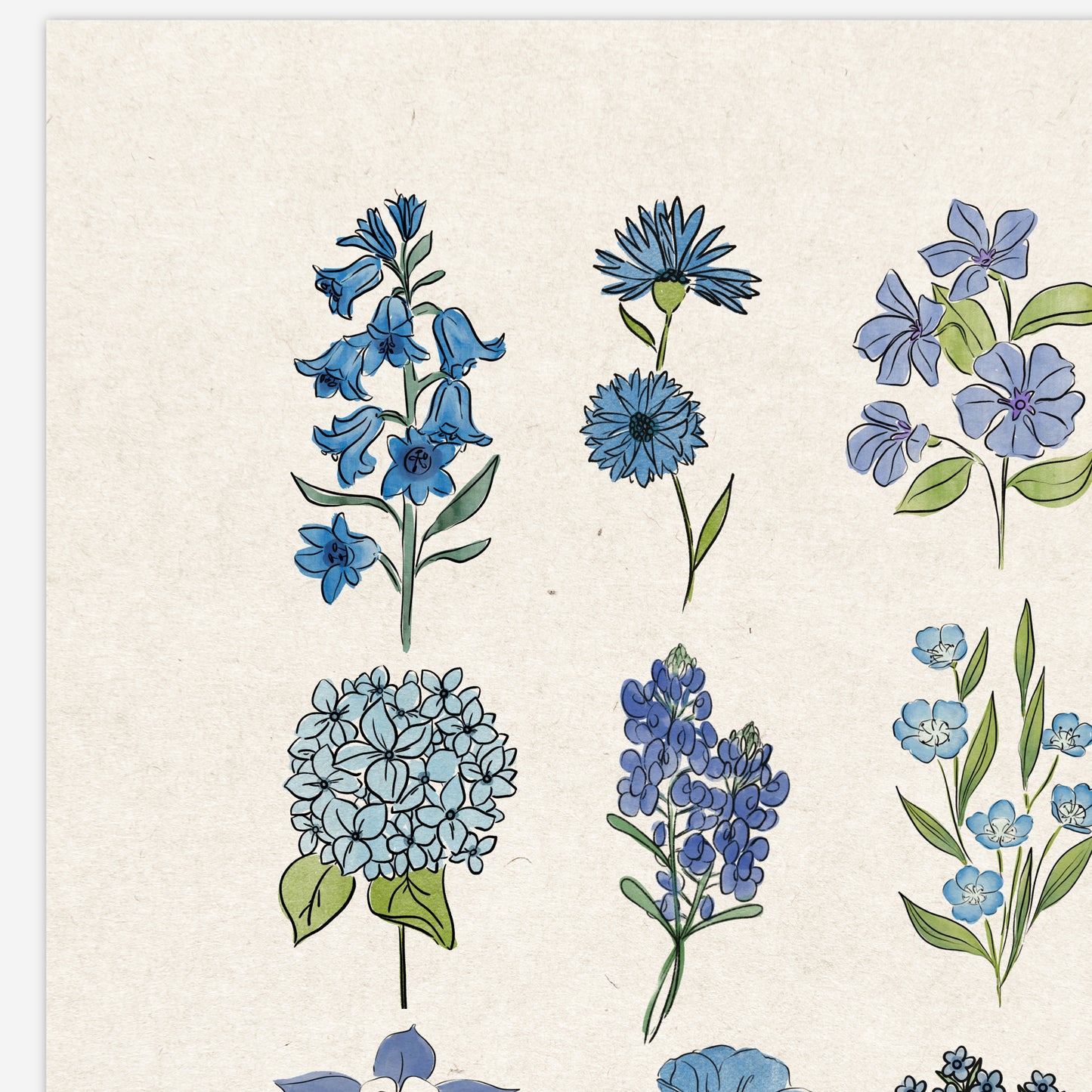 Blue Flower Chart Unframed Art Print | Antique Paper Background | Bluebell Bluebonnet Garden Inspired Art