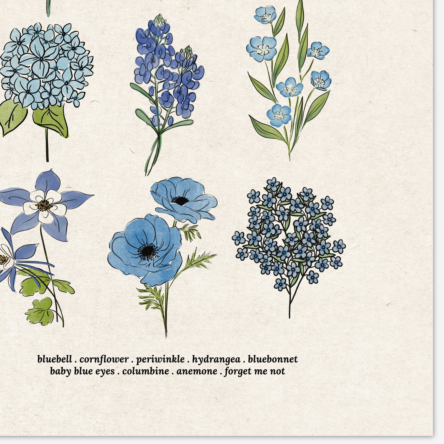 Blue Flower Chart Unframed Art Print | Antique Paper Background | Bluebell Bluebonnet Garden Inspired Art