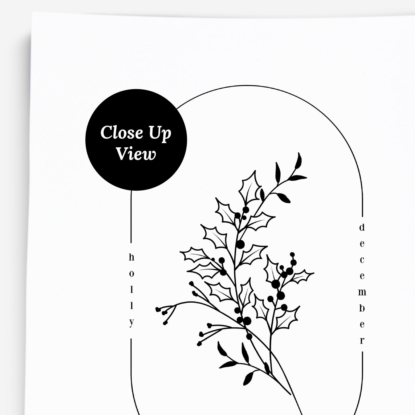 December Birth Flower Holly | Oval Frame Simple Art Printable | Digital Wall Decor