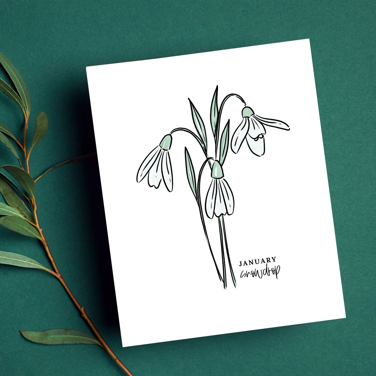 January Birth Flower Unframed Art Print Carnation Snowdrop Floral Birthday Gift