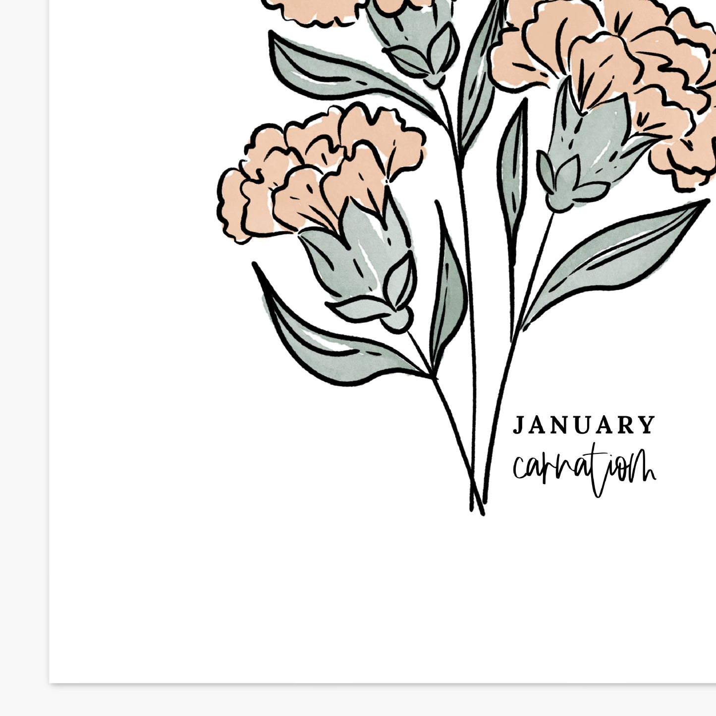 January Birth Flower Unframed Art Print Carnation Snowdrop Floral Birthday Gift