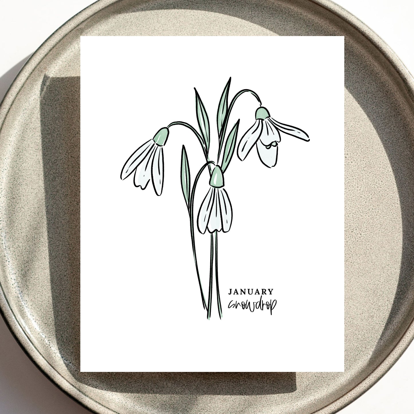 January Birth Flower Unframed Art Print Carnation Snowdrop Floral Birthday Gift