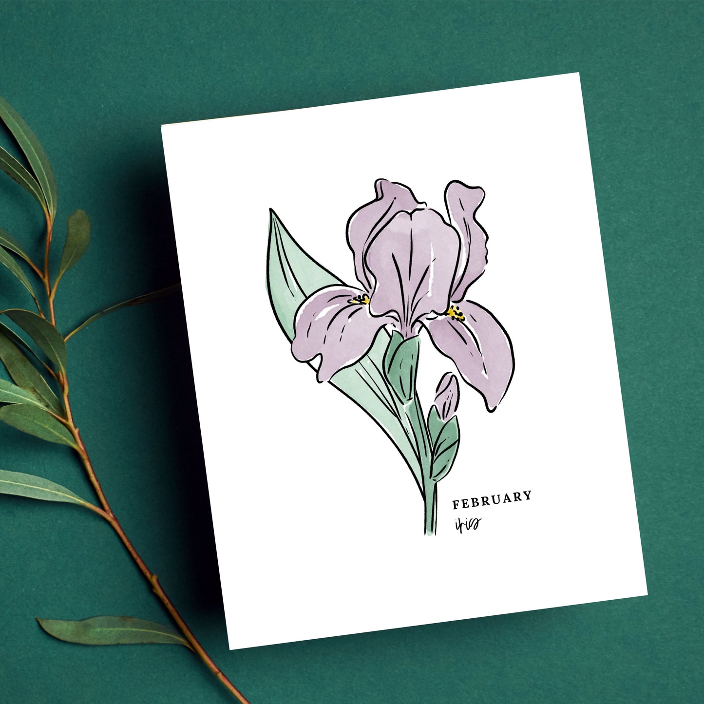 February Birth Flower Unframed Art Print Iris Primrose Floral Birthday Gift