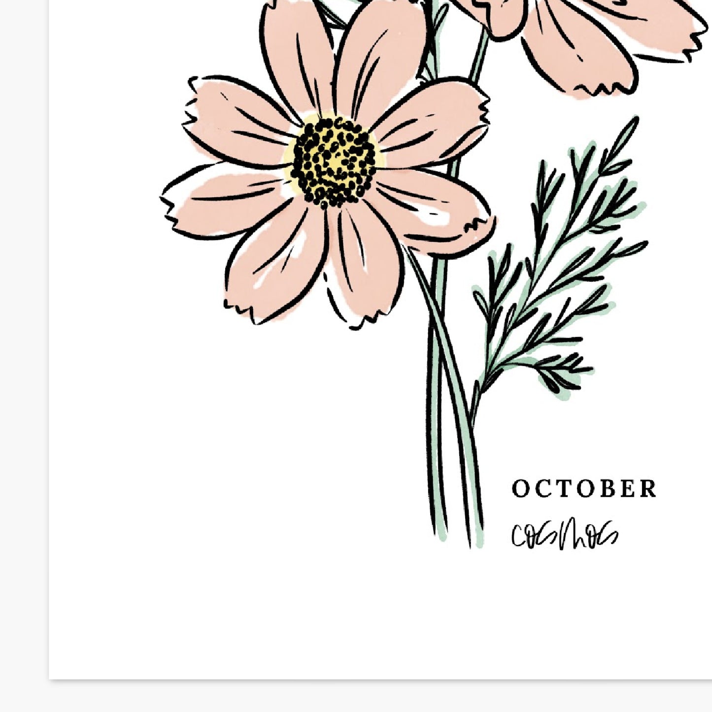 October Birth Flower Unframed Cosmos Marigold Art Print Floral Birthday Gift