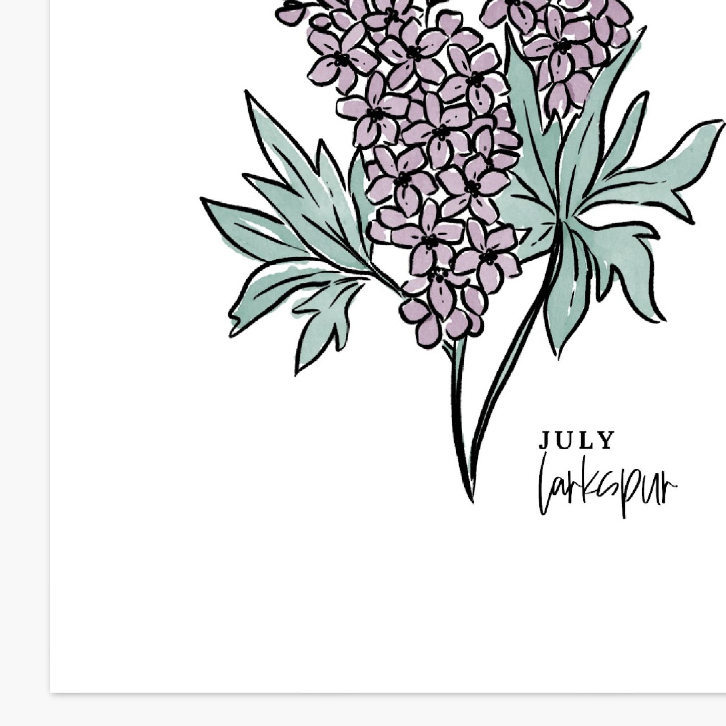 July Birth Flower Unframed Larkspur Water Lily Art Print Floral Birthday Gift