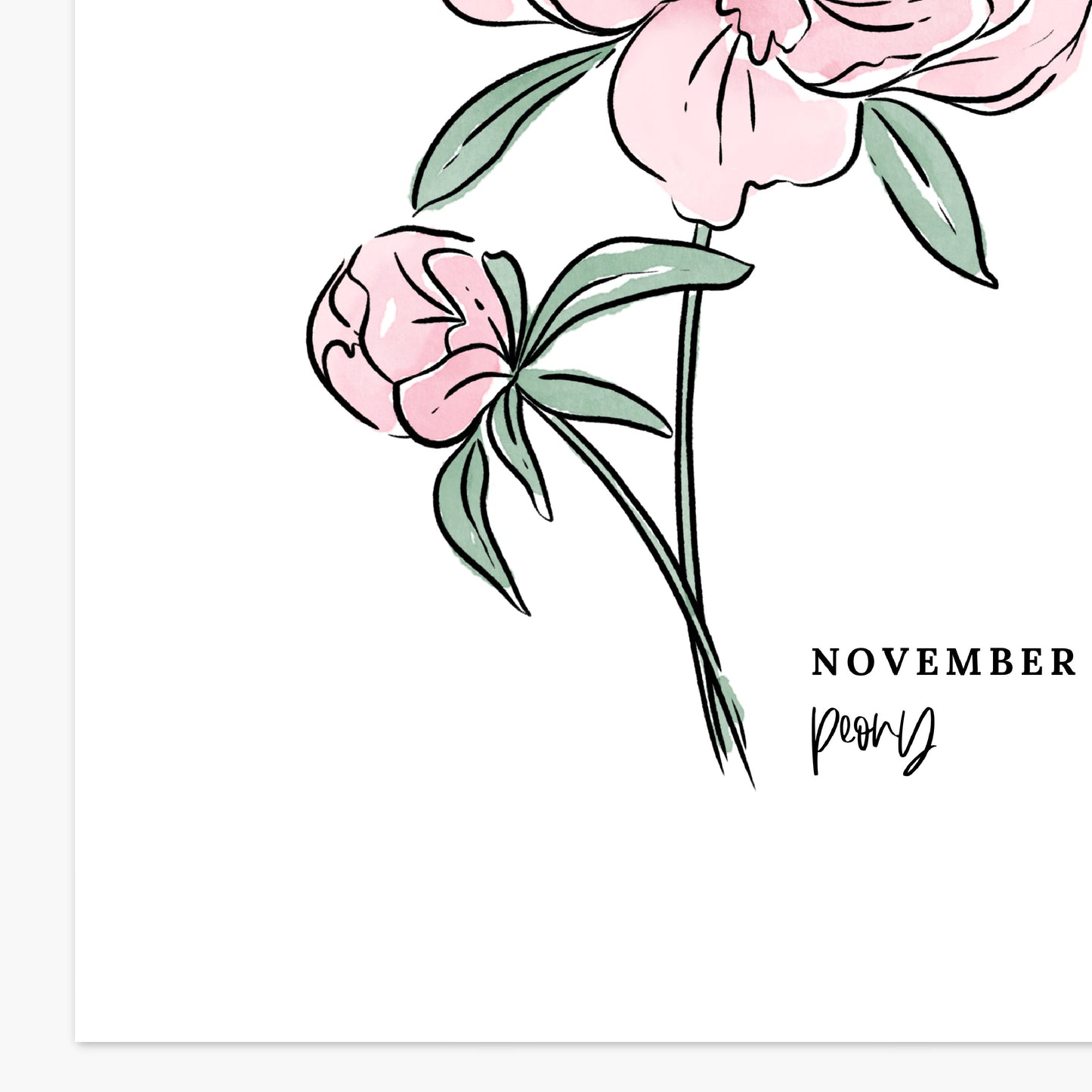 November Birth Flower Unframed Chrysanthemum Peony Art Print Floral Birthday Gift