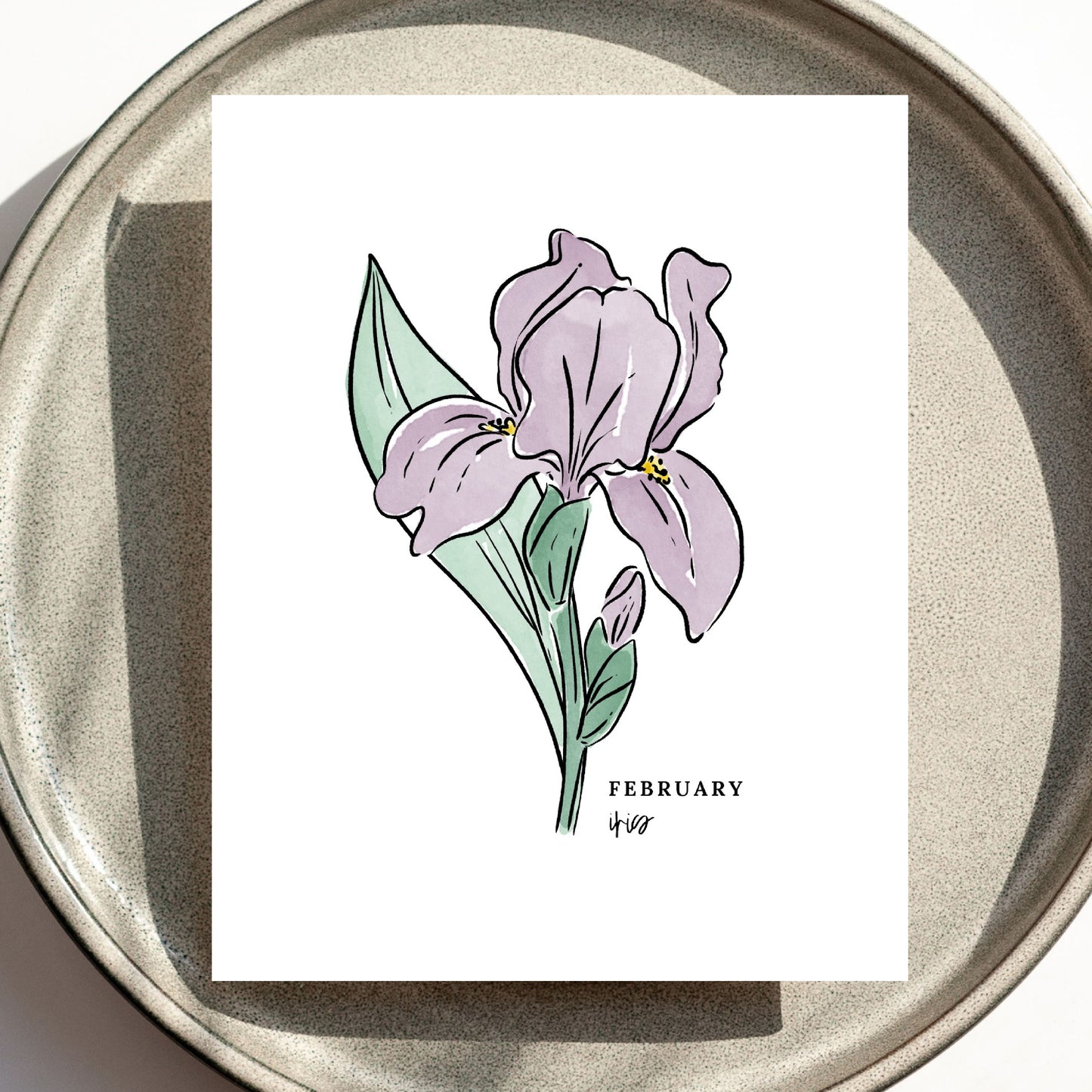 February Birth Flower Unframed Art Print Iris Primrose Floral Birthday Gift