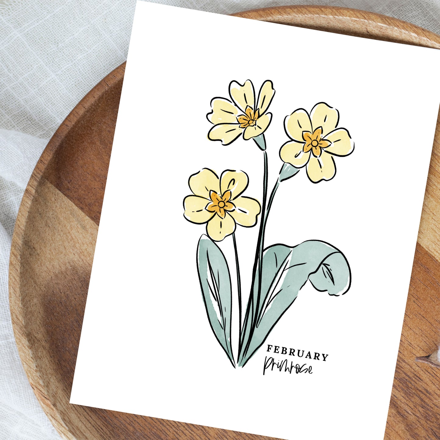 February Birth Flower Unframed Art Print Iris Primrose Floral Birthday Gift