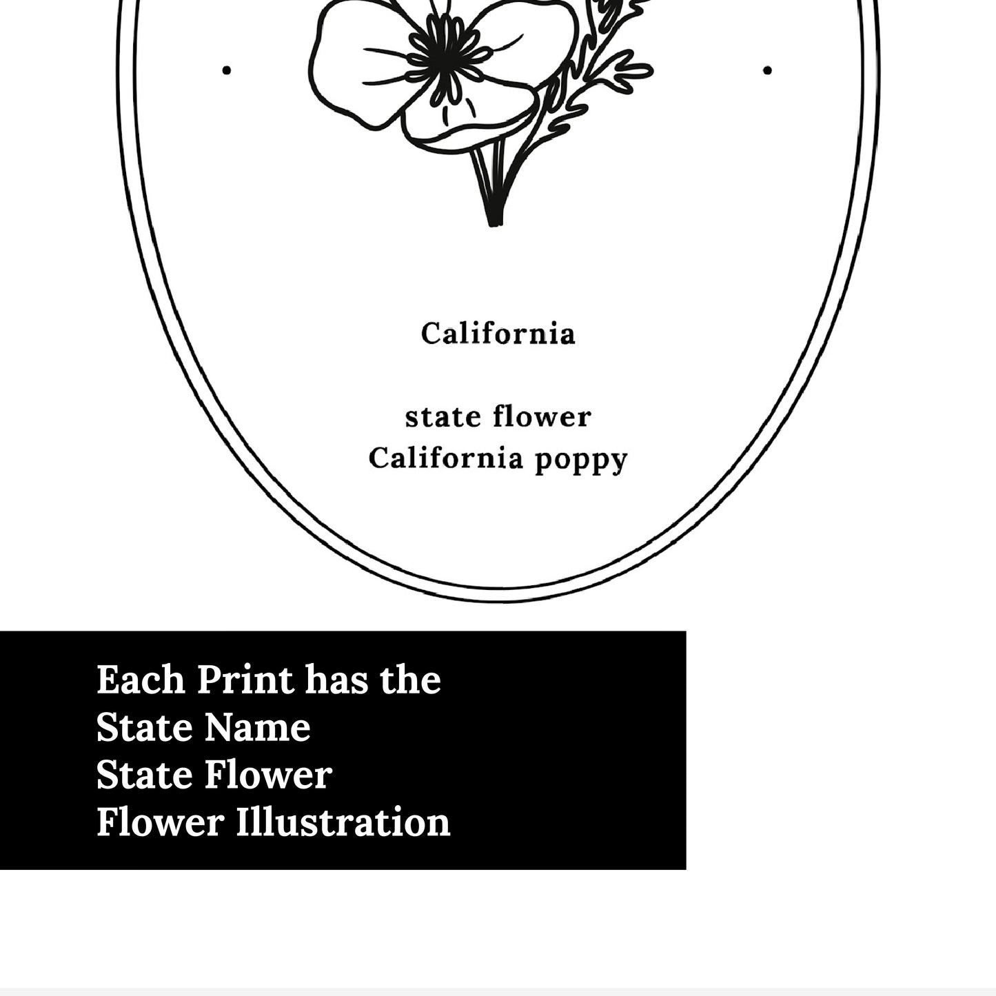 California State Flower | California Poppy Floral Line Art Printable