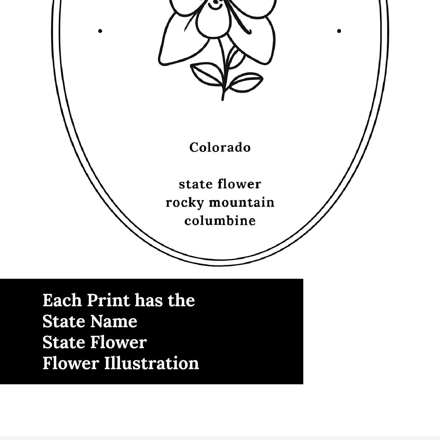 Colorado State Flower | Rocky Mountain Columbine Floral Line Art Printable