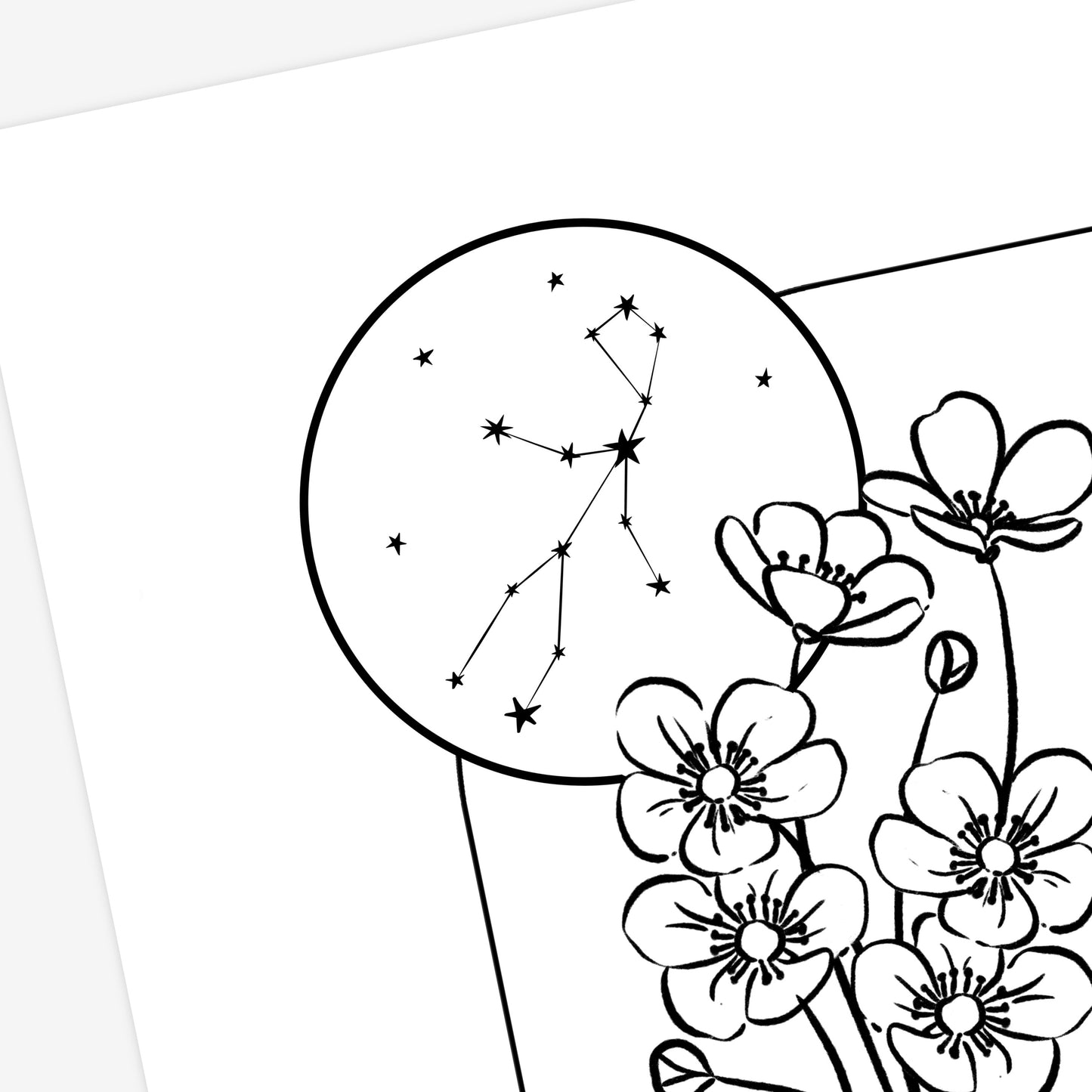 12 Zodiac Birth Flower Coloring Page Printables | Astrology Coloring Book | Floral Inspired Digital Sheets