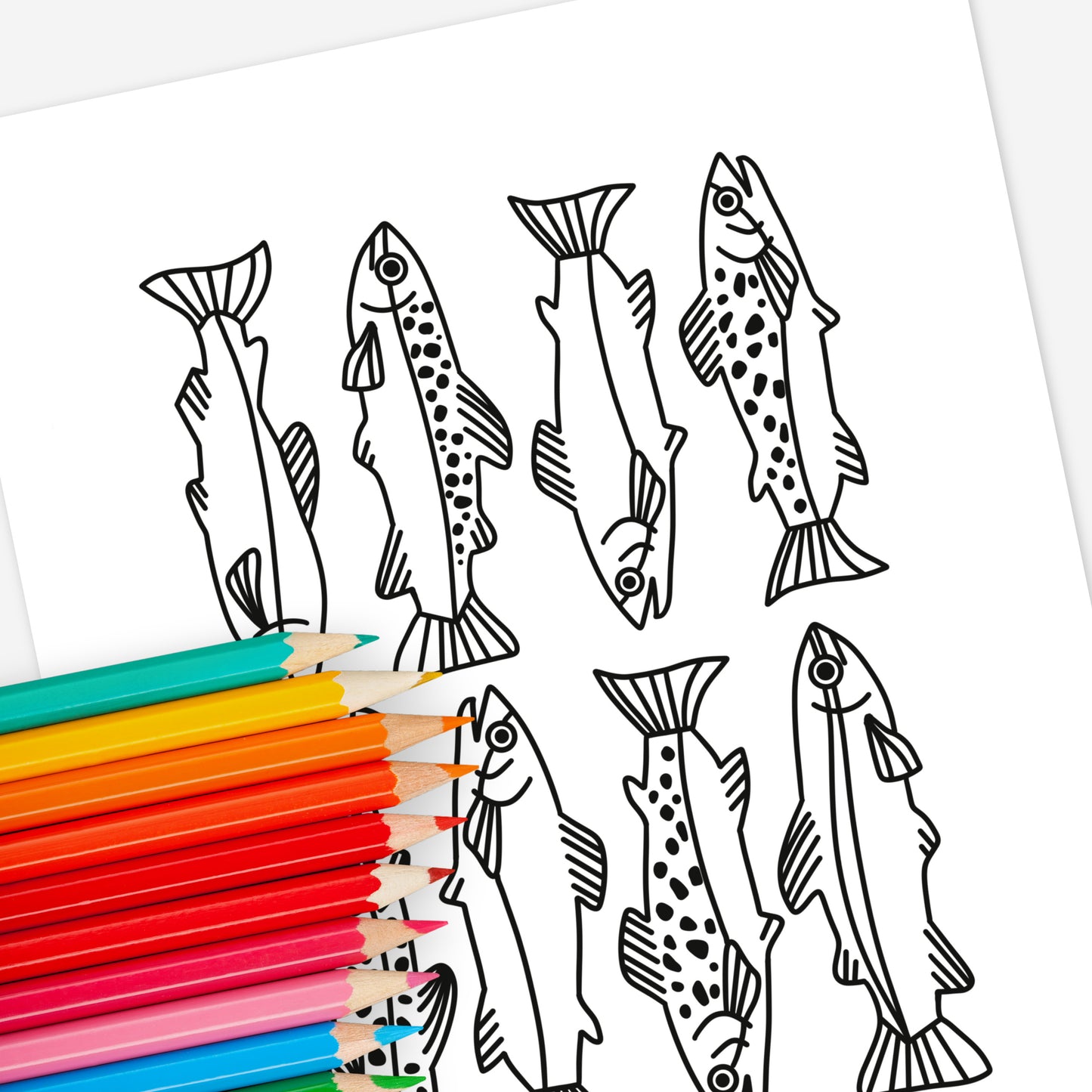18 PK Fishing Coloring Pages Printed & Shipped | 3 Pages of Each 6 Pc Set | Lure Rainbow Trout Bass Water Fishing Gear Nature Sheets