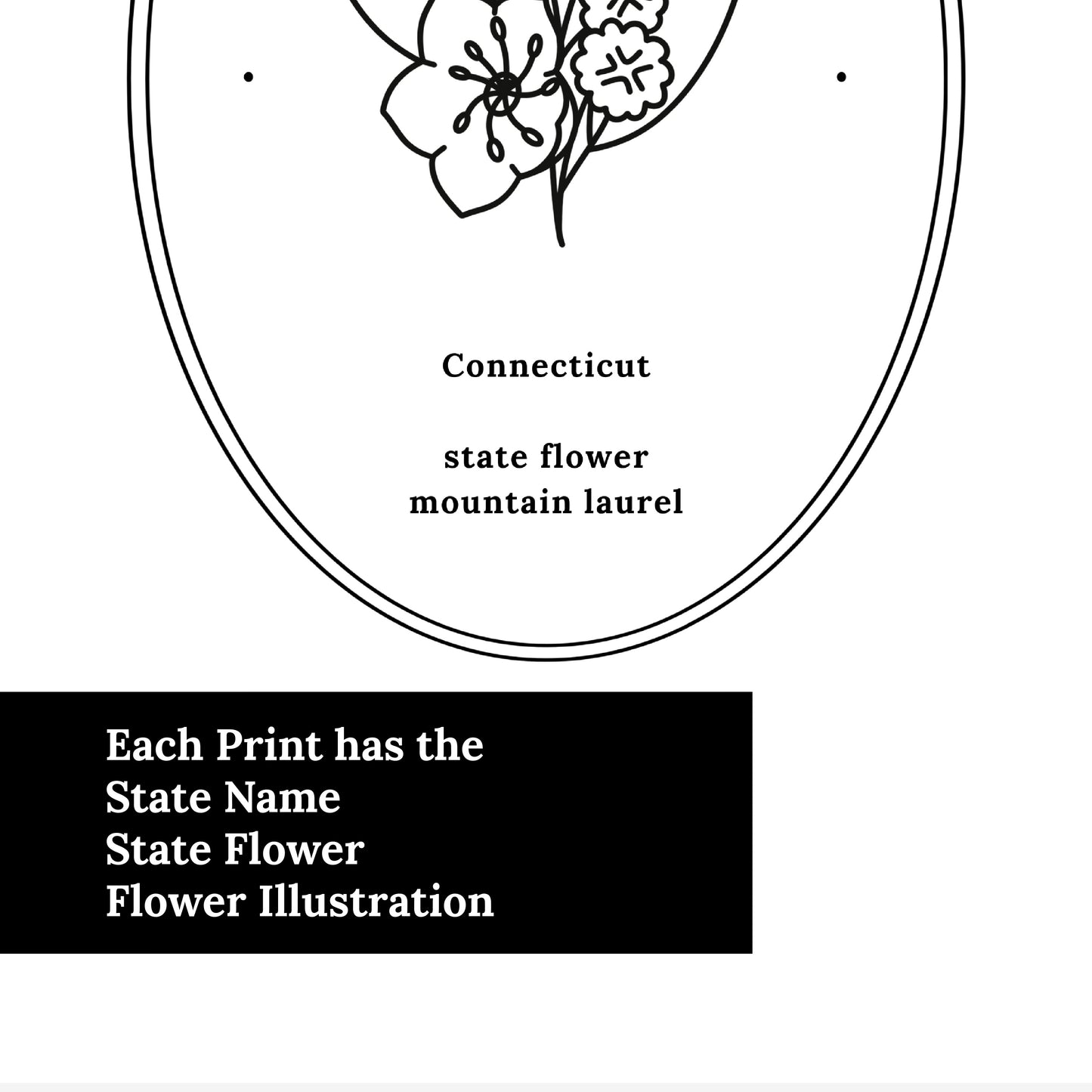 Connecticut State Flower | Mountain Laurel Floral Line Art Printable