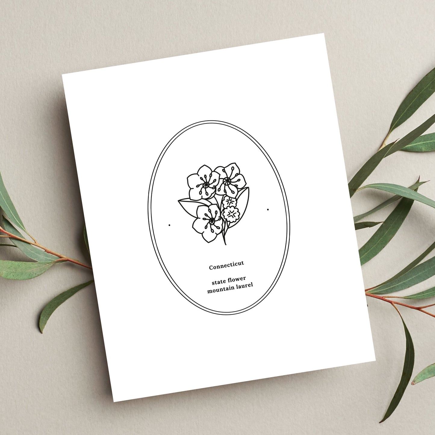 Connecticut State Flower | Mountain Laurel Floral Line Art Printable