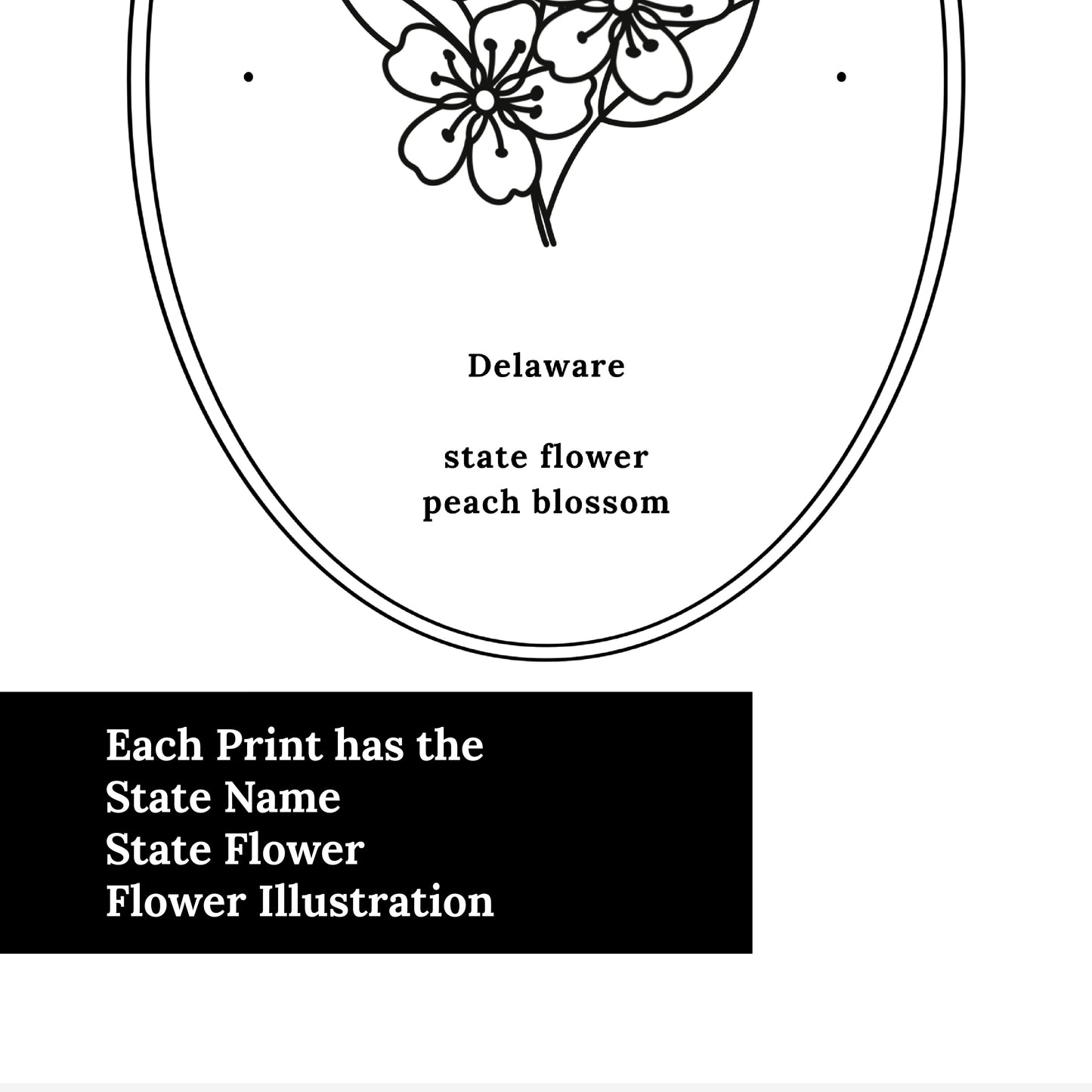 Delaware State Flower | Peach Blossom Floral Line Art Printable