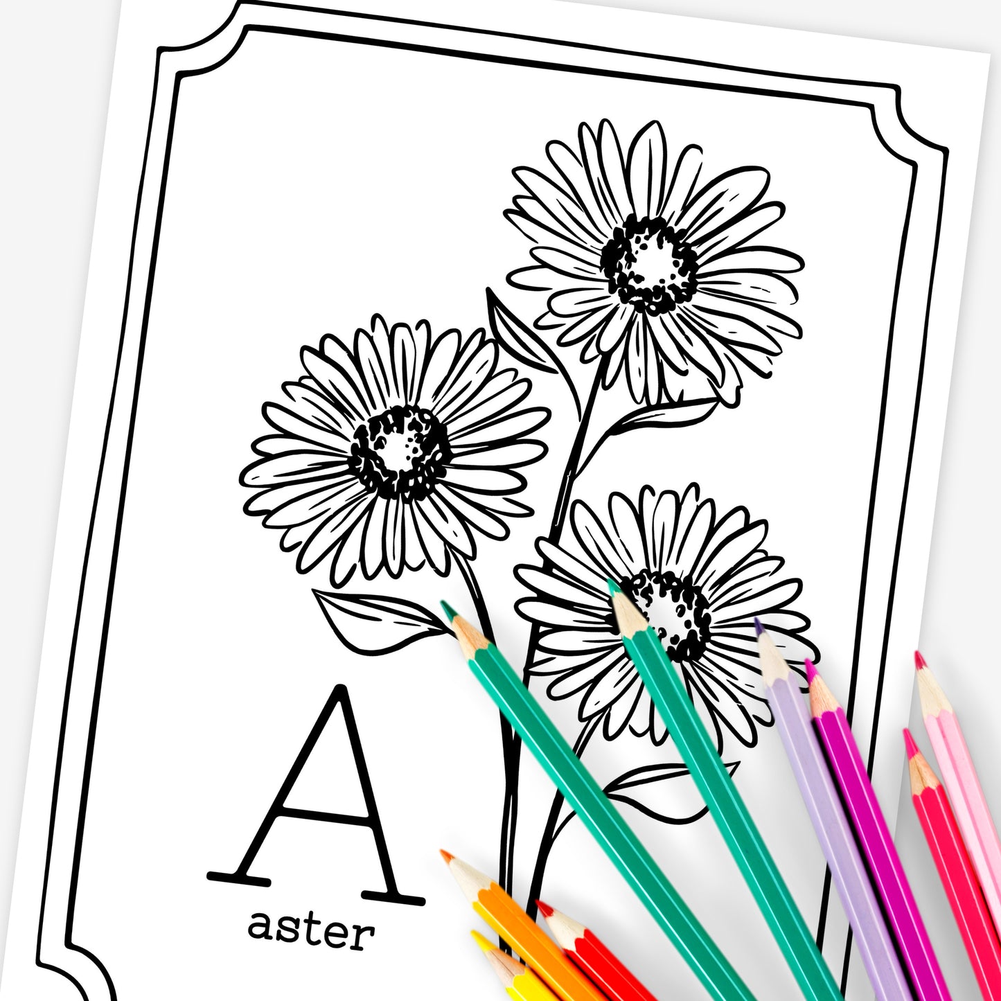 Floral Alphabet Set Printable Coloring Pages | Hand Illustrated Flowers + Color Swatch Testers