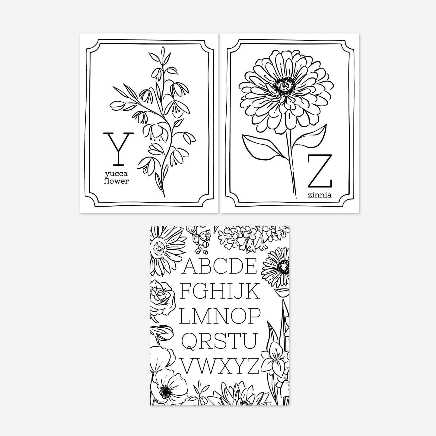 Floral Alphabet Set Printable Coloring Pages | Hand Illustrated Flowers + Color Swatch Testers