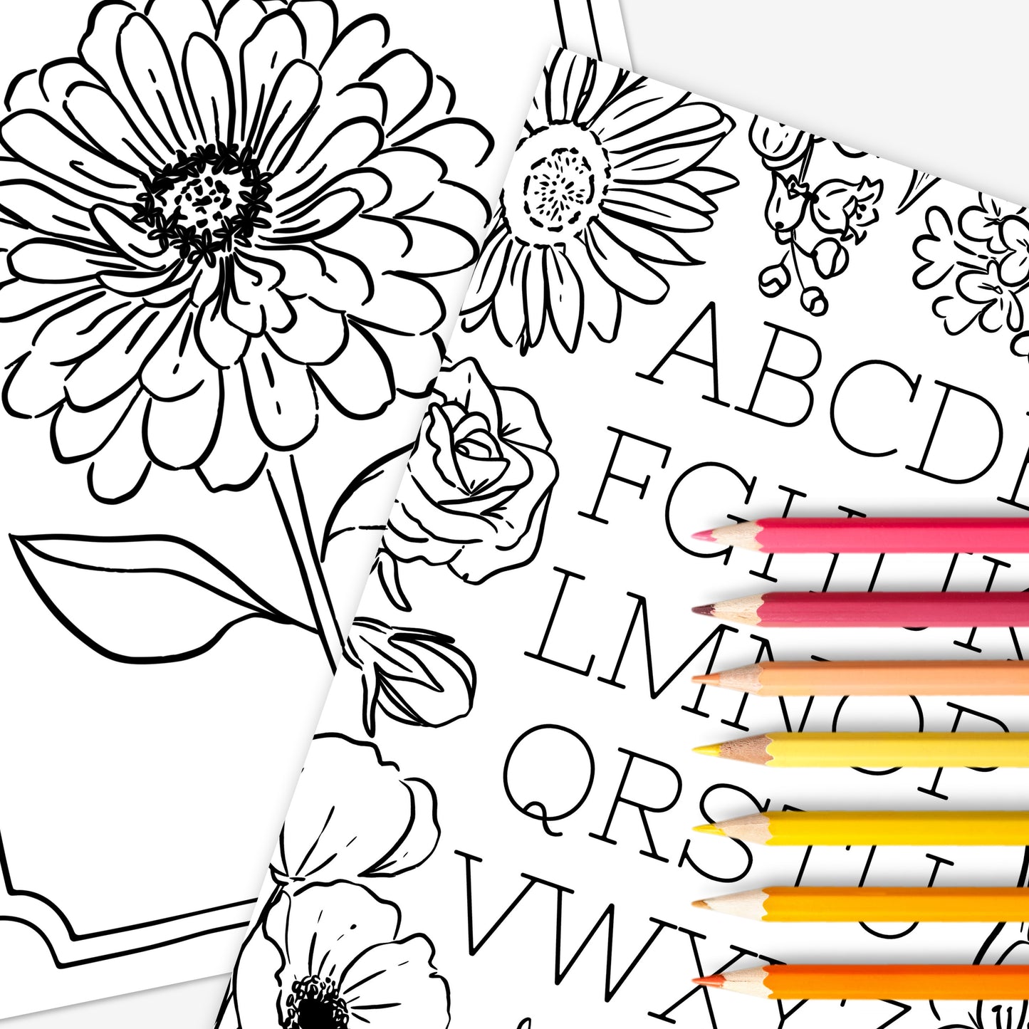 Floral Alphabet Set Printable Coloring Pages | Hand Illustrated Flowers + Color Swatch Testers