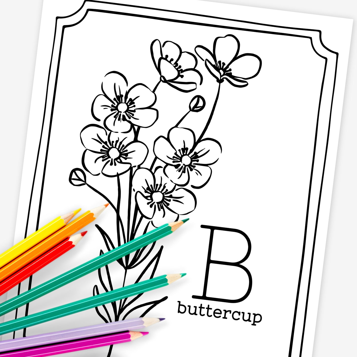 Floral Alphabet Set Printable Coloring Pages | Hand Illustrated Flowers + Color Swatch Testers
