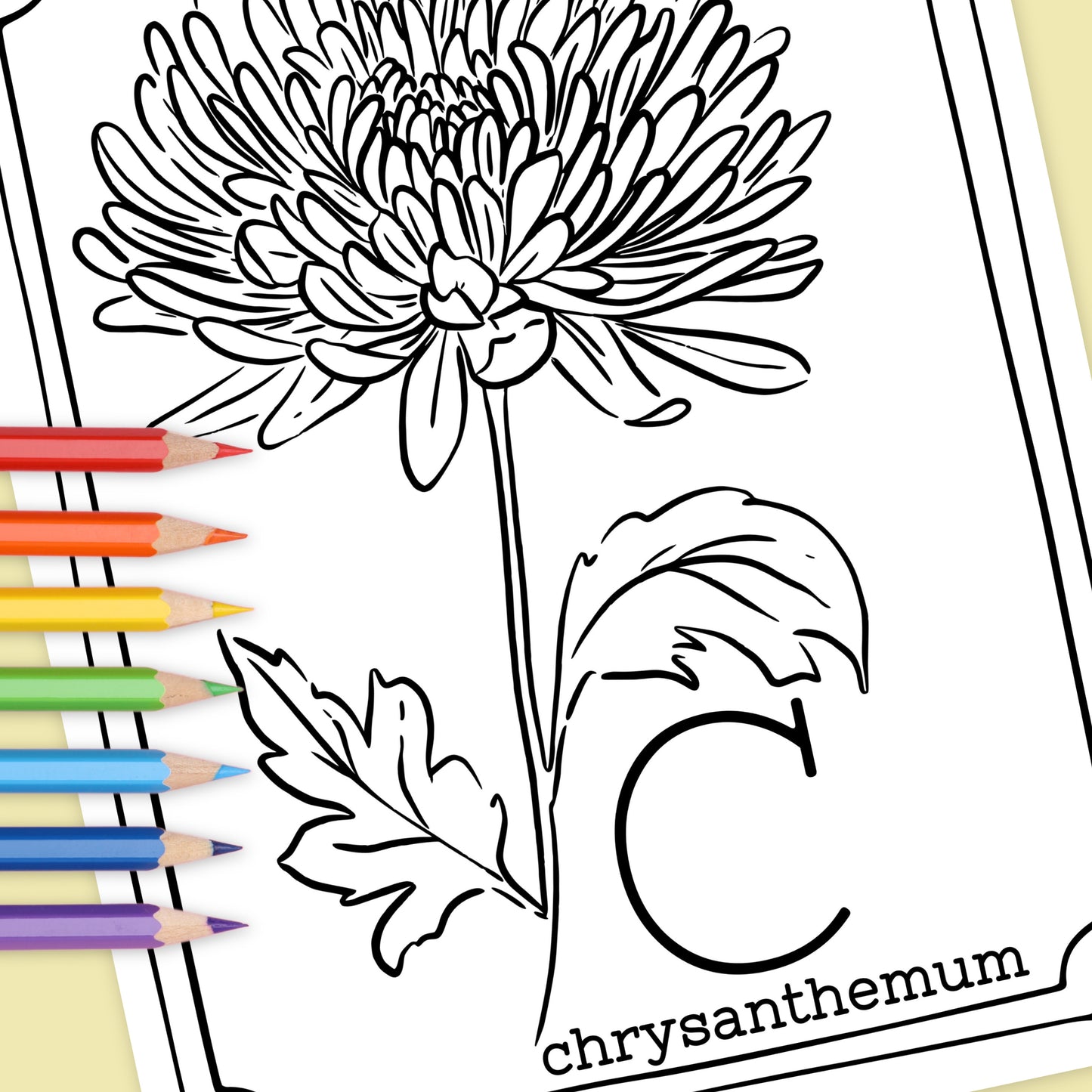Floral Alphabet Set Printable Coloring Pages | Hand Illustrated Flowers + Color Swatch Testers