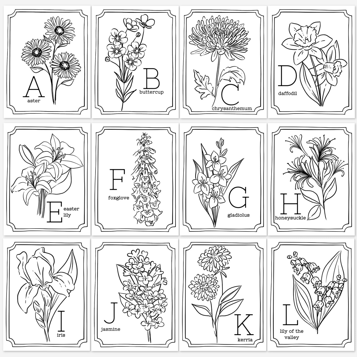 Floral Alphabet Set Printable Coloring Pages | Hand Illustrated Flowers + Color Swatch Testers