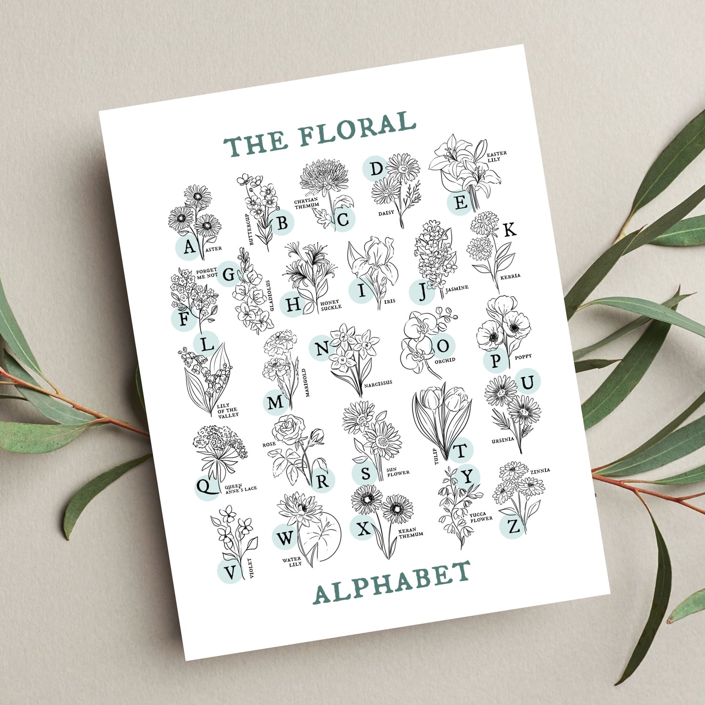 Floral Alphabet Chart | Illustrated Light Aqua Green Accent Flower Unframed Art Wall Decor