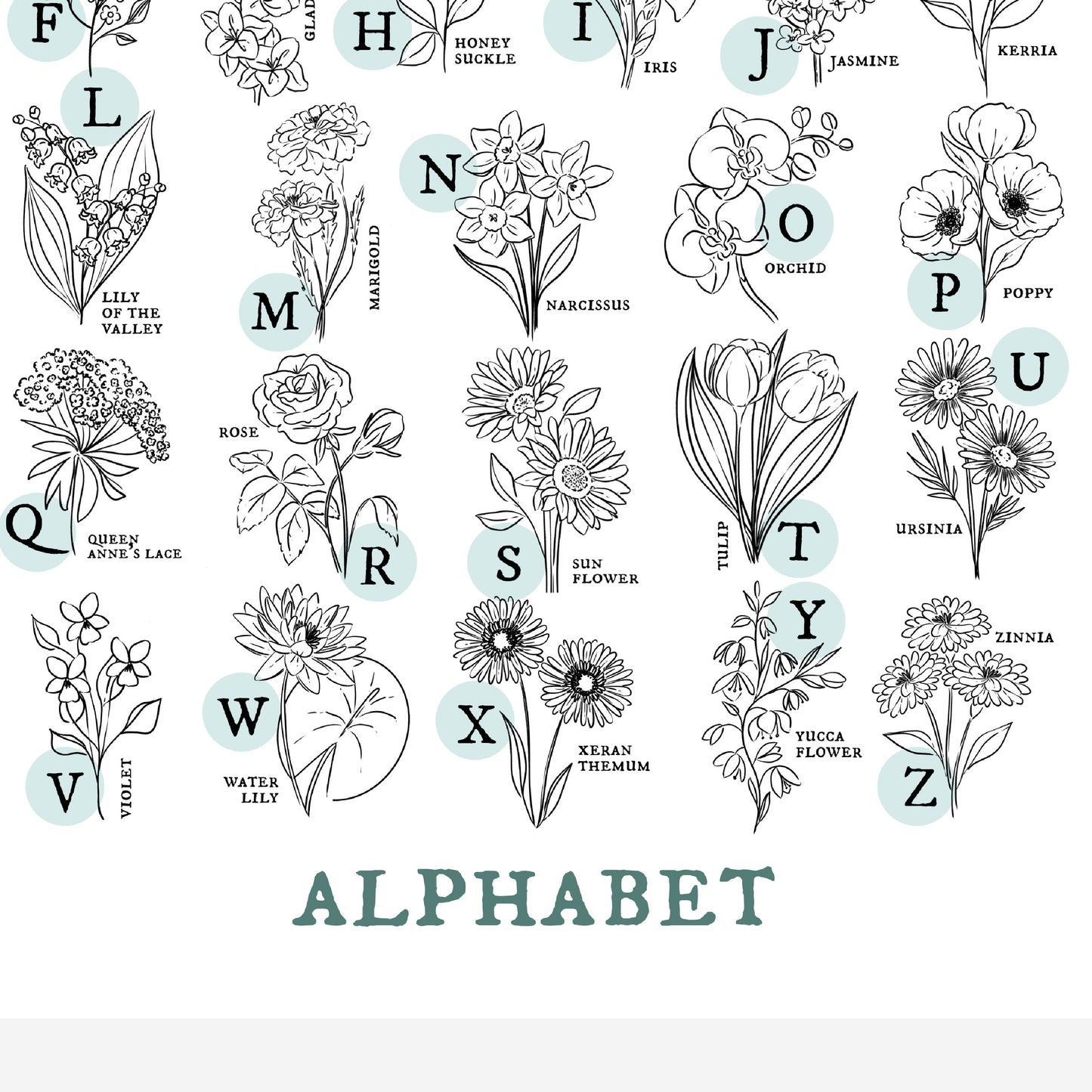 Floral Alphabet Chart | Illustrated Light Aqua Green Accent Flower Unframed Art Wall Decor