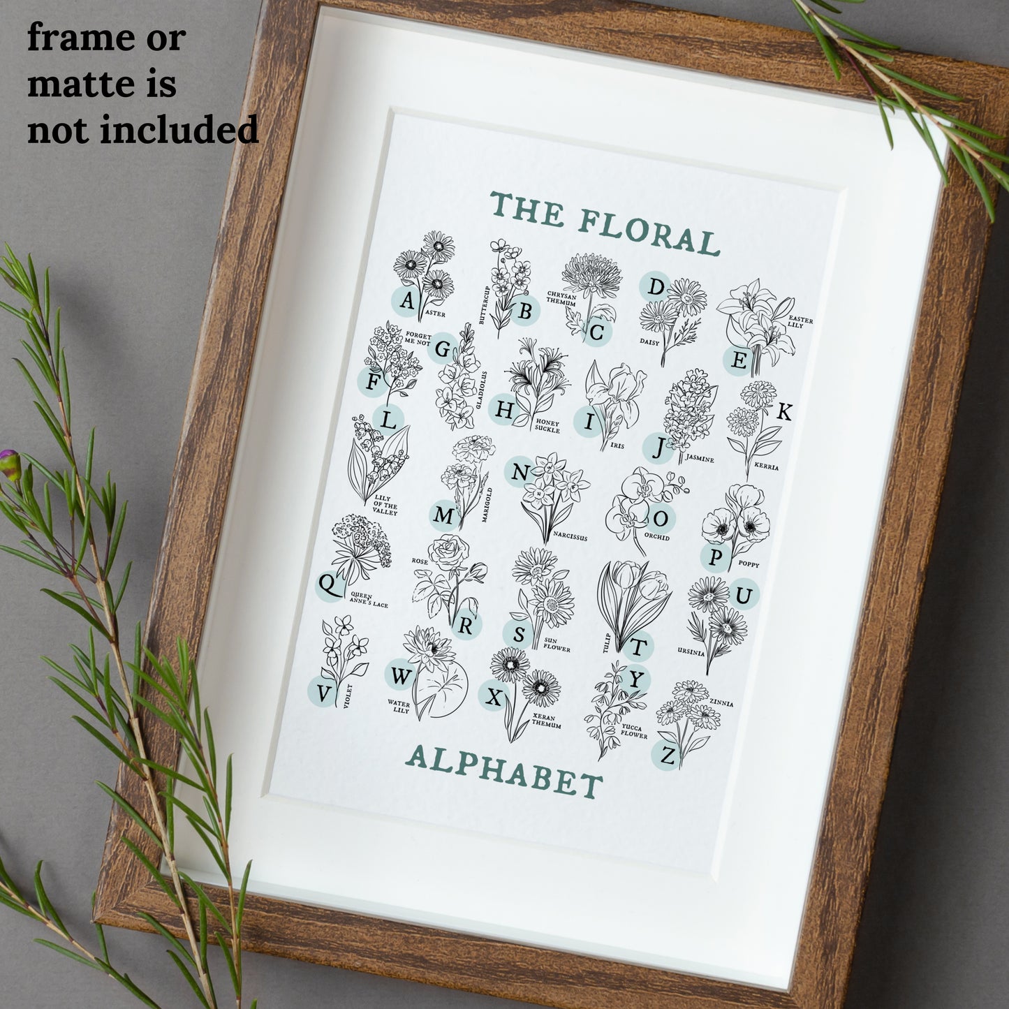 Floral Alphabet Chart | Illustrated Light Aqua Green Accent Flower Unframed Art Wall Decor