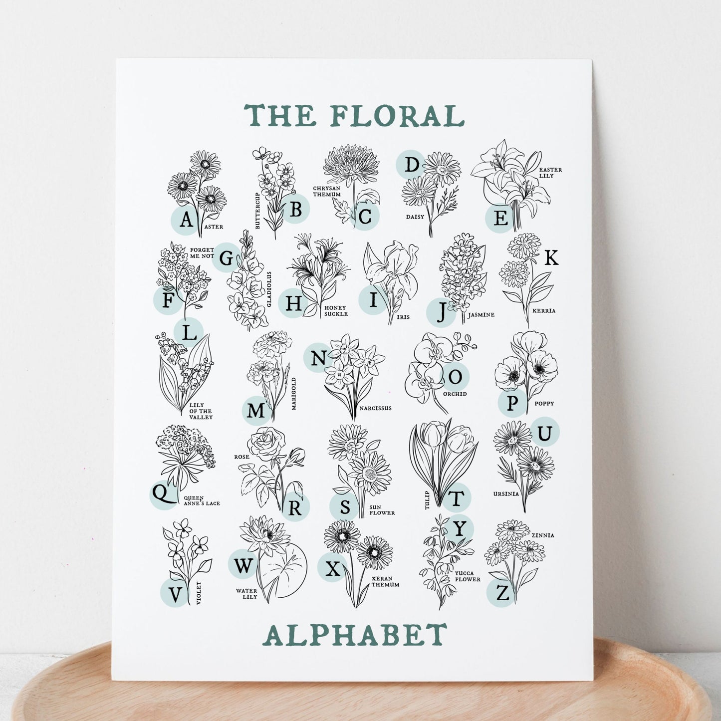 Floral Alphabet Chart | Illustrated Light Aqua Green Accent Flower Unframed Art Wall Decor