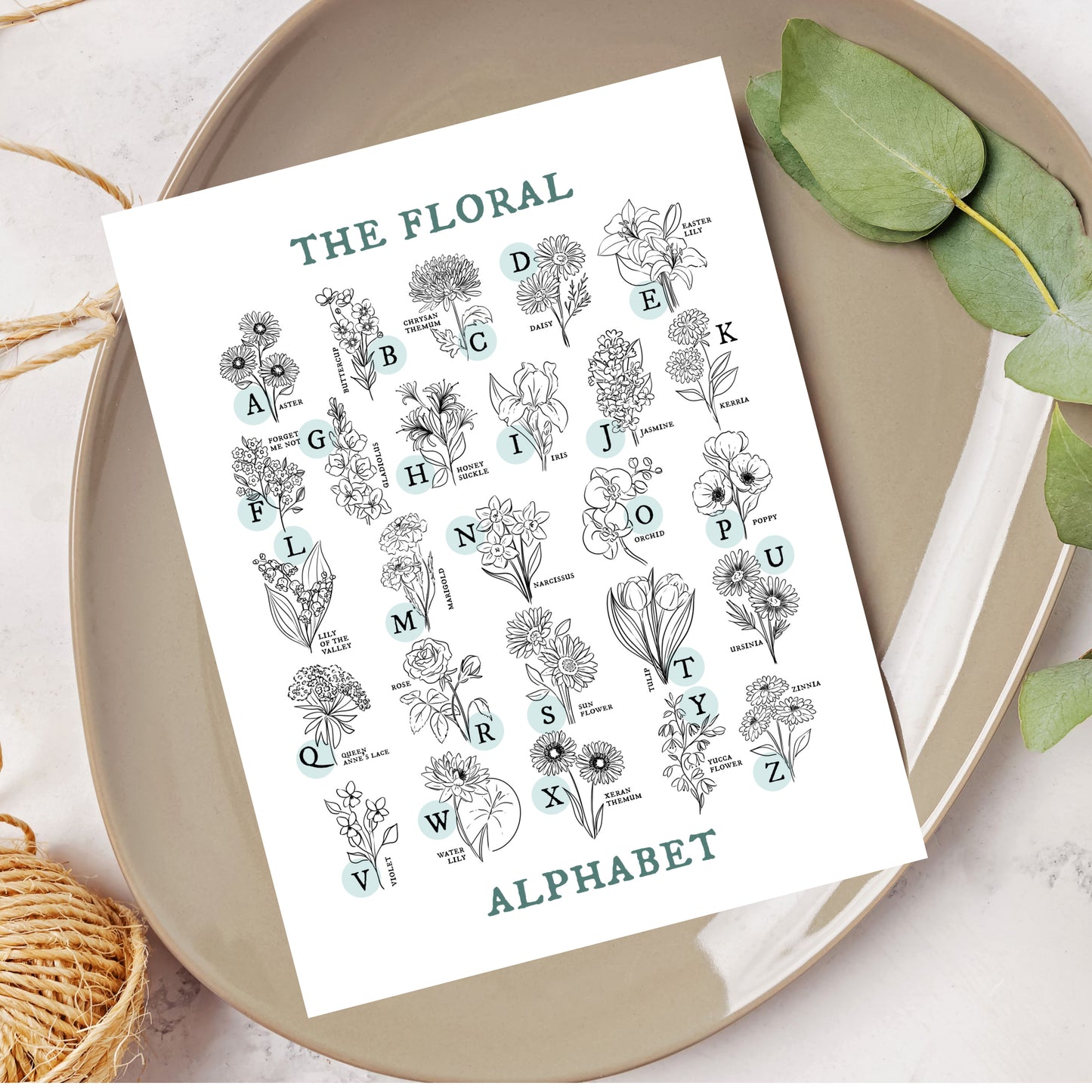 Floral Alphabet Chart | Illustrated Light Aqua Green Accent Flower Unframed Art Wall Decor