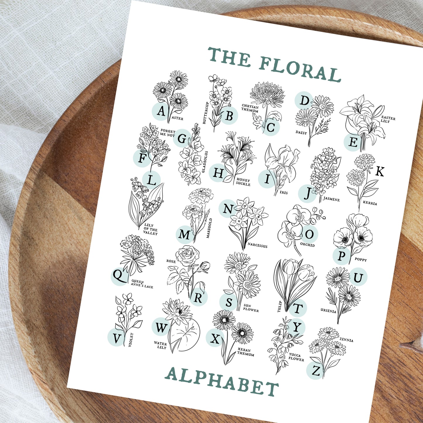 Floral Alphabet Chart | Illustrated Light Aqua Green Accent Flower Unframed Art Wall Decor