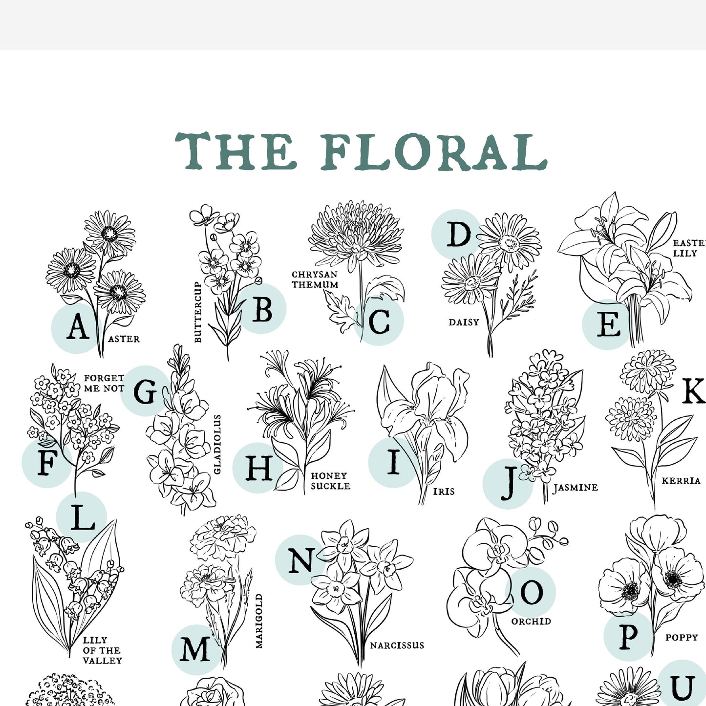 Floral Alphabet Chart | Illustrated Light Aqua Green Accent Flower Unframed Art Wall Decor