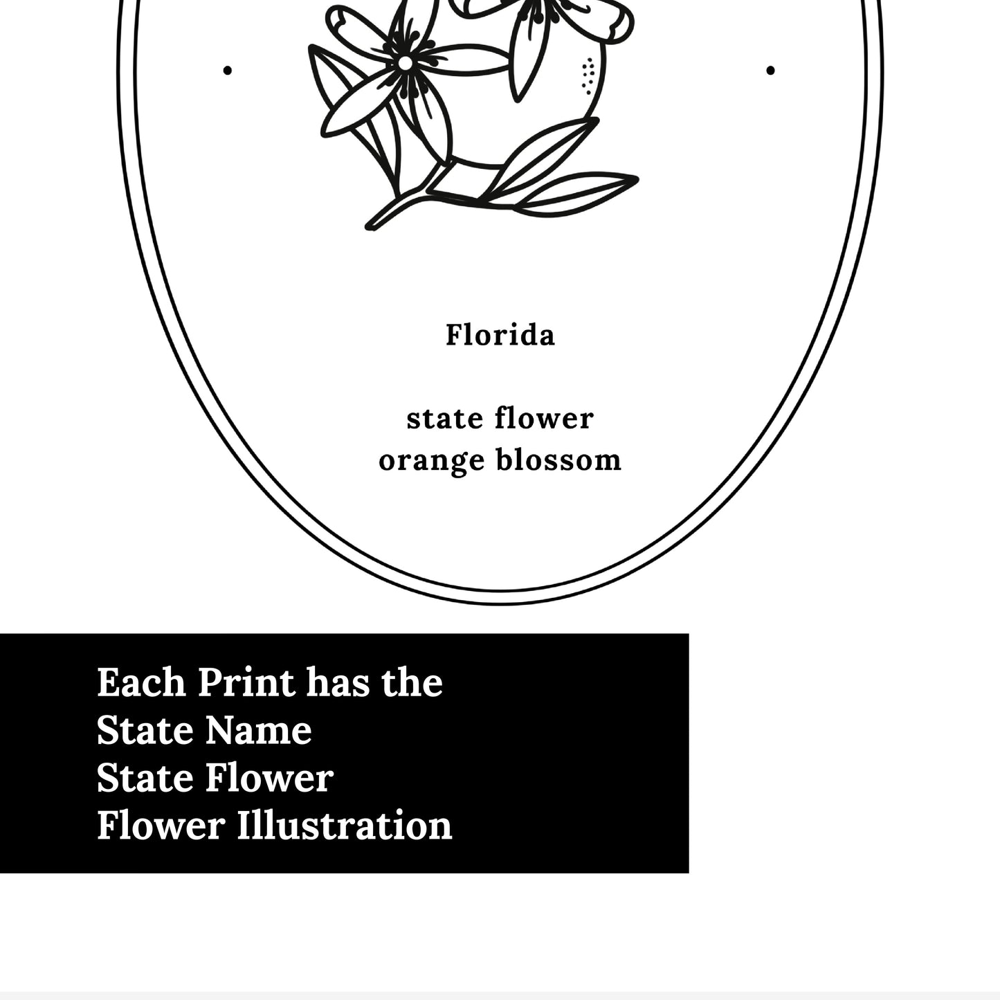 Florida State Flower Orange Blossom Floral Line Art Printable