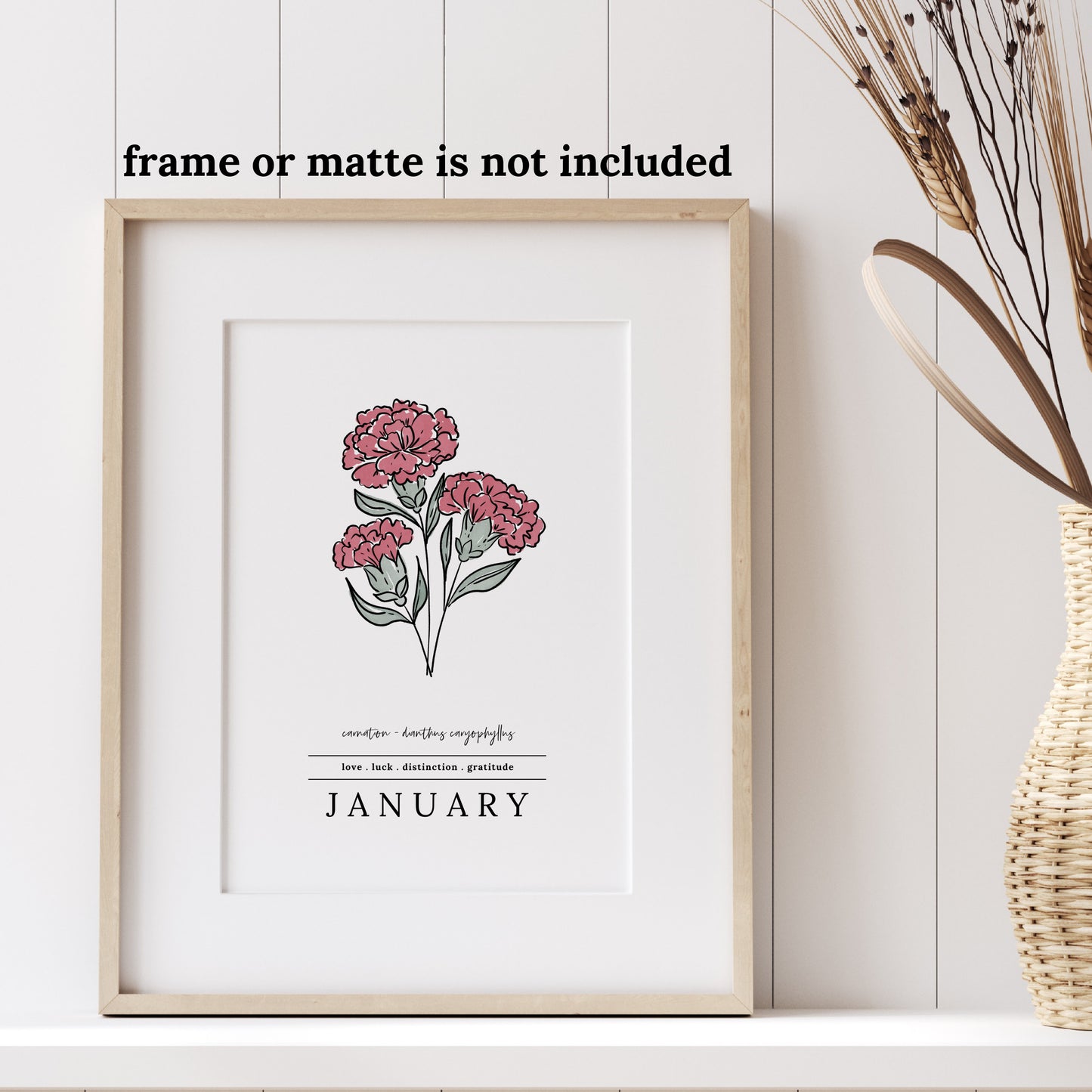 January Carnation Birth Flower Unframed Art Print | Illustrated Floral Art | Birthday Gift