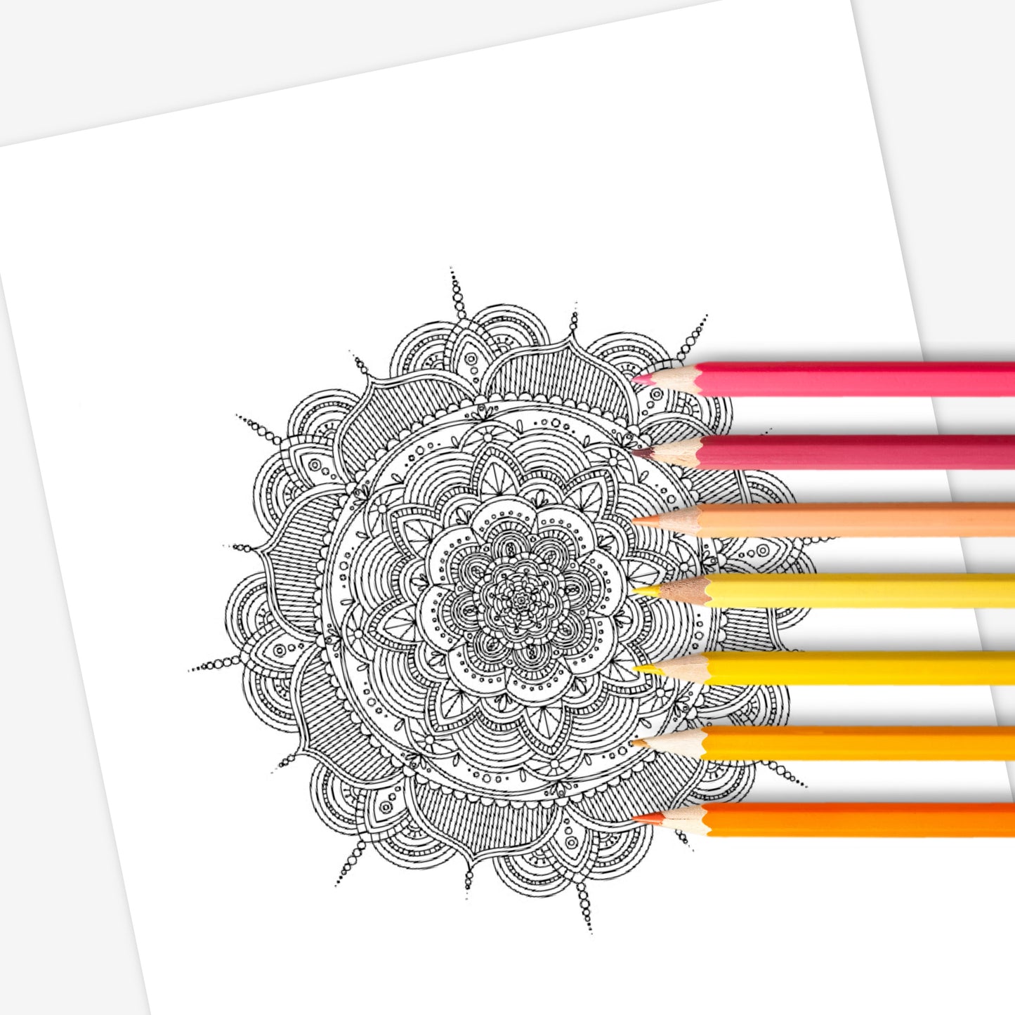 40 Mandala Blooms Printable Coloring Pages | Relaxing Zen Mindful Flower Patterns to Print & Color