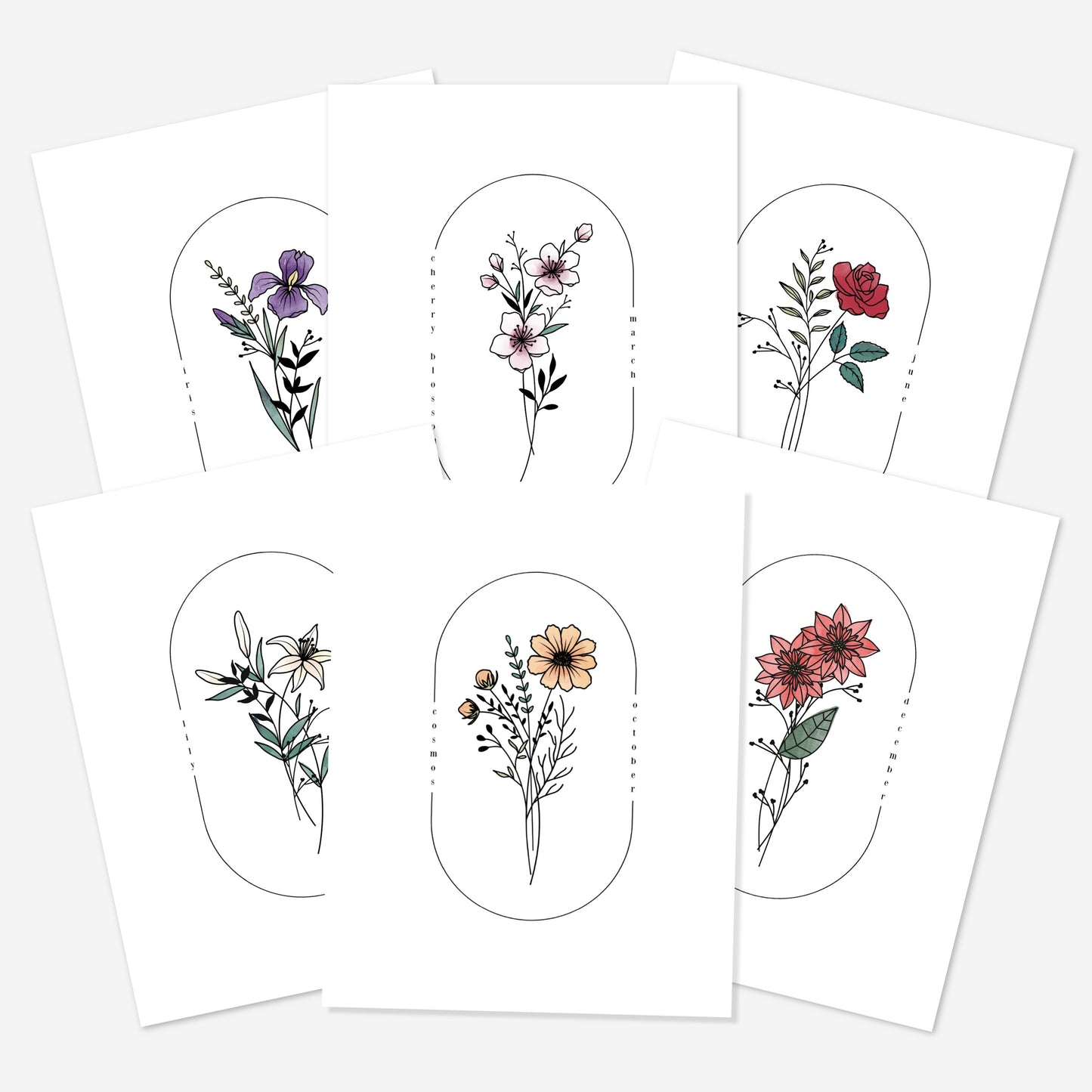 27 PK Birth Flower Art Printables | Watercolor Simple Floral Line Art Printable | Best Birthday Gift For All Ages