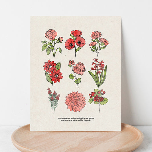 Red Flower Chart Unframed Art Print | Antique Paper Background | Poppy Rose Carnation Geranium Garden Inspired Art