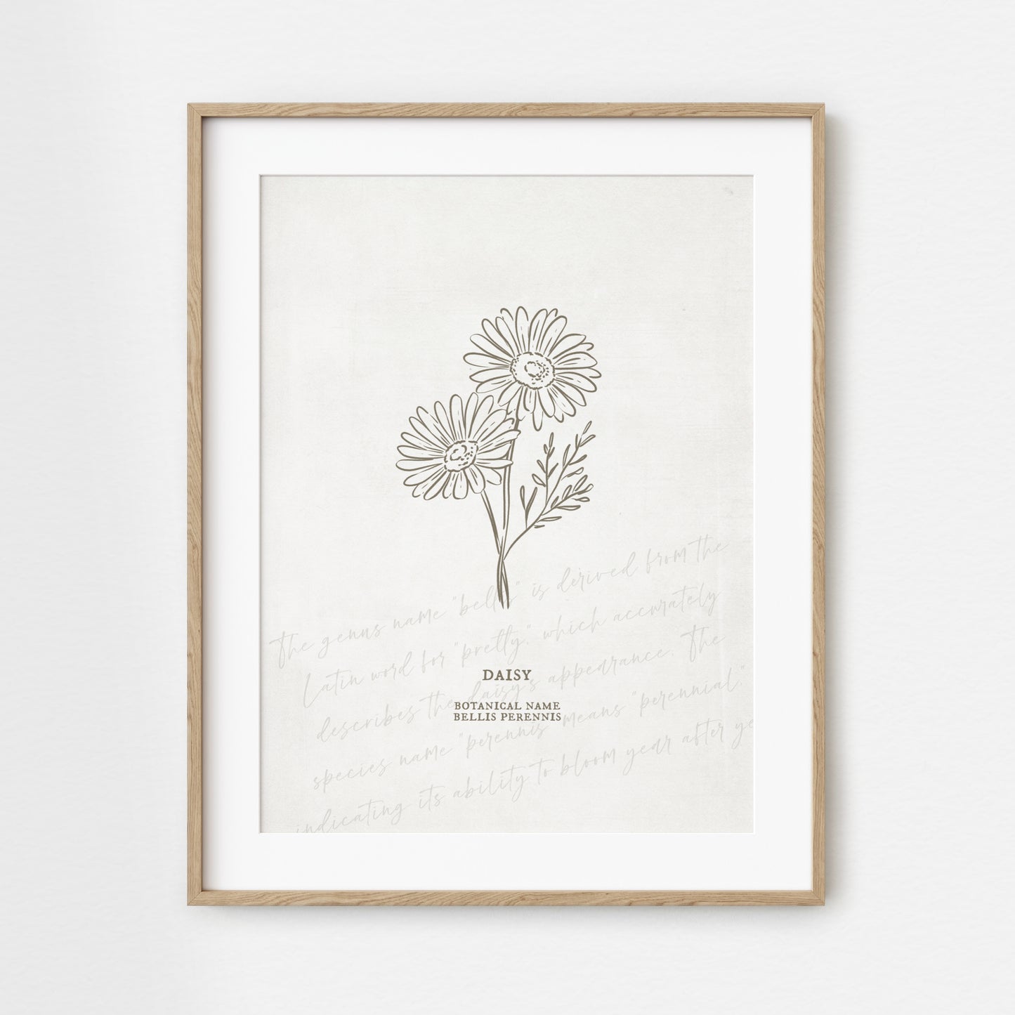 Daisy Flower Unframed Art Print | Floral Illustration Faux Antique Paper Cottagecore Wall Decor