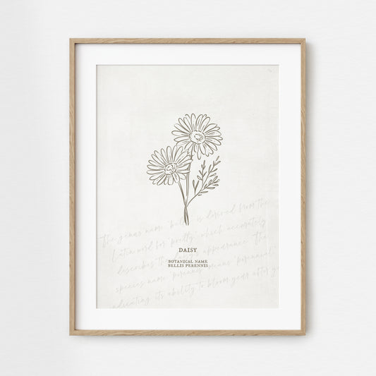 Daisy Flower Unframed Art Print | Floral Illustration Faux Antique Paper Cottagecore Wall Decor