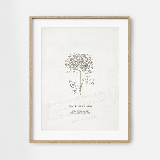 Chrysanthemum Flower Unframed Art Print | Floral Illustration Faux Antique Paper Cottagecore Wall Decor