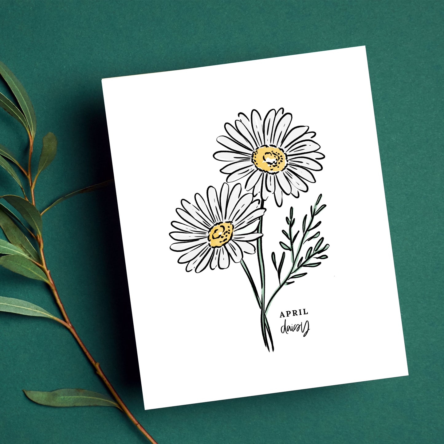 April Birth Flower Unframed Daisy Art Print Floral Birthday Gift