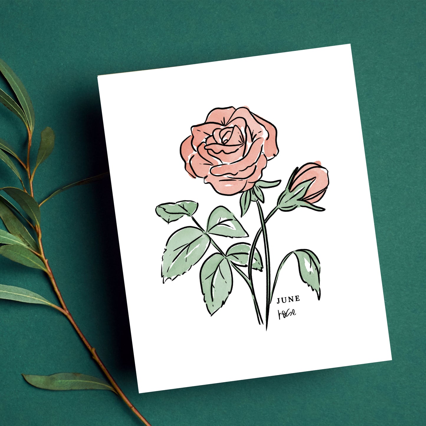 June Birth Flower Unframed Red Rose Art Print Floral Birthday Gift